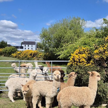 The Alpaca Farmhouse With Hot Tub And Alpaca Experience Included Dromara Exterior foto